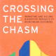 book: crossing the chasm